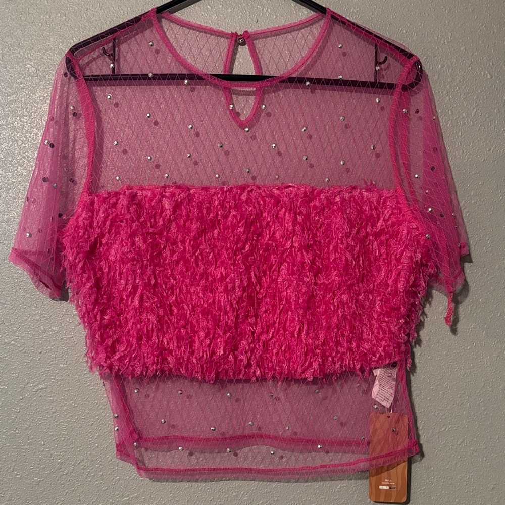 SHEIN Hot Pink Sheer Mesh Crop Top with Textured Panel